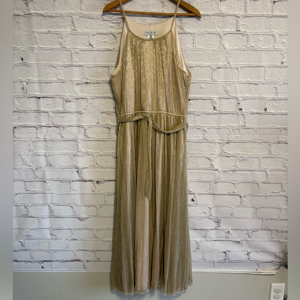 Alexa B Nites Costume Dress